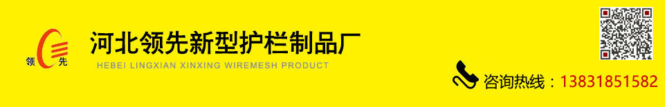 河北领先新型护栏制品
